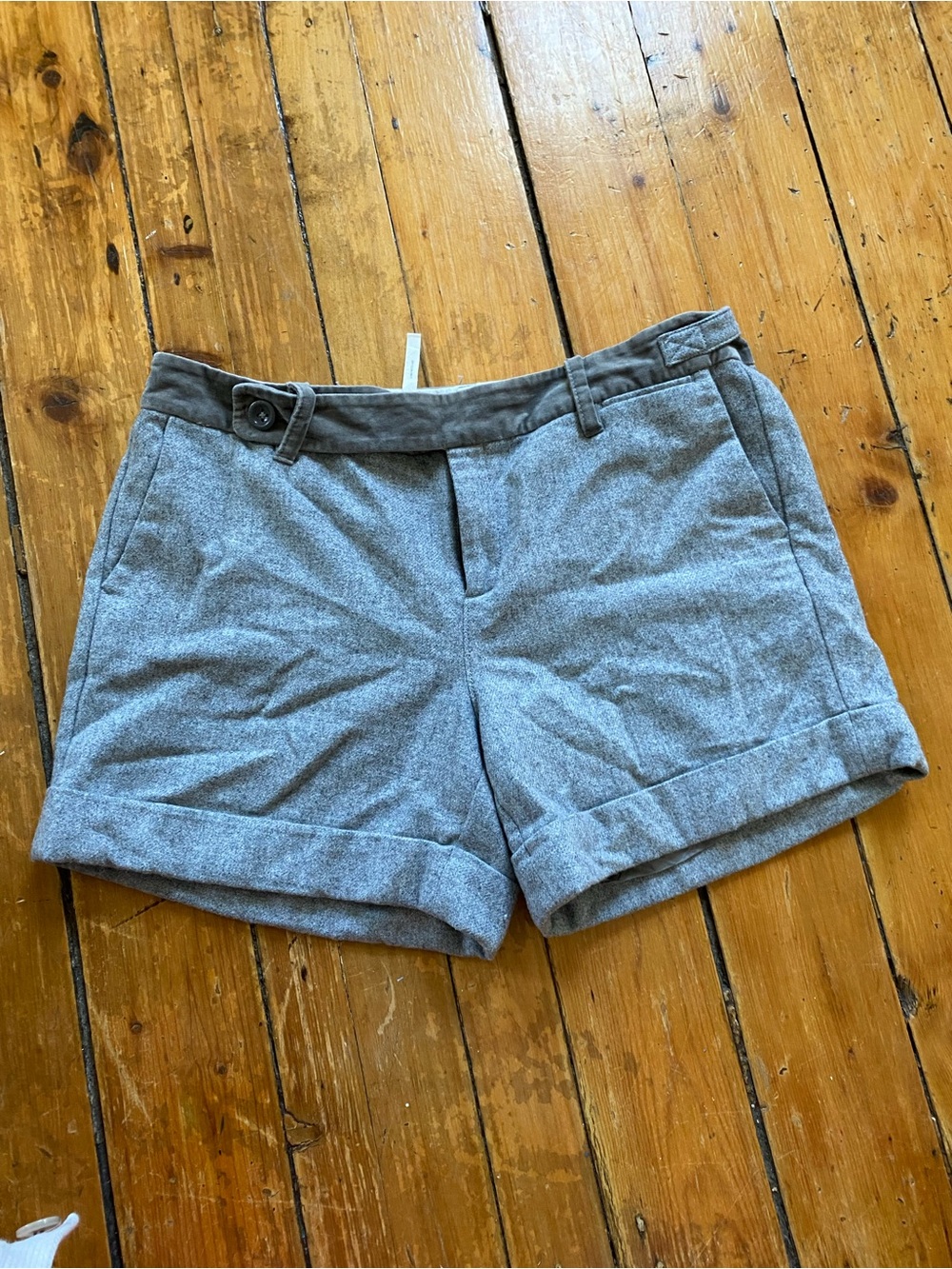 Anthropologie Paper Boy wool blend shorts with velvet detailing size 12